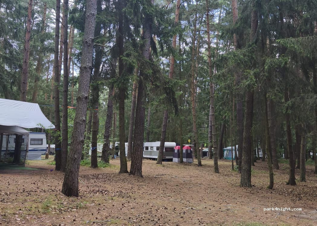 Tarnów — foto 4