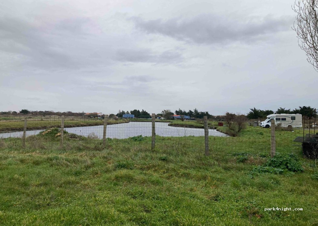 L'huitrière du sud-ouest — foto 3