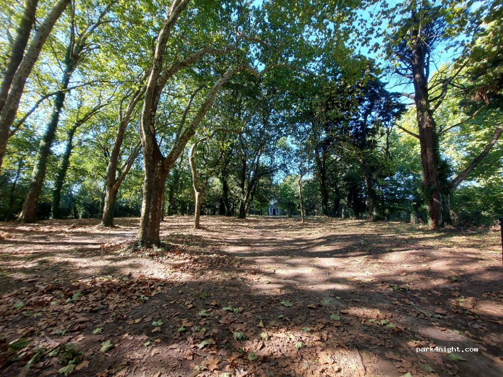 (3800) Cacia - Rua Campo — foto