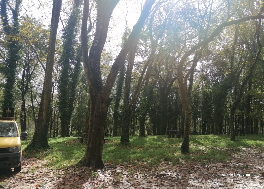 (3800) Cacia - Rua Campo — foto 3