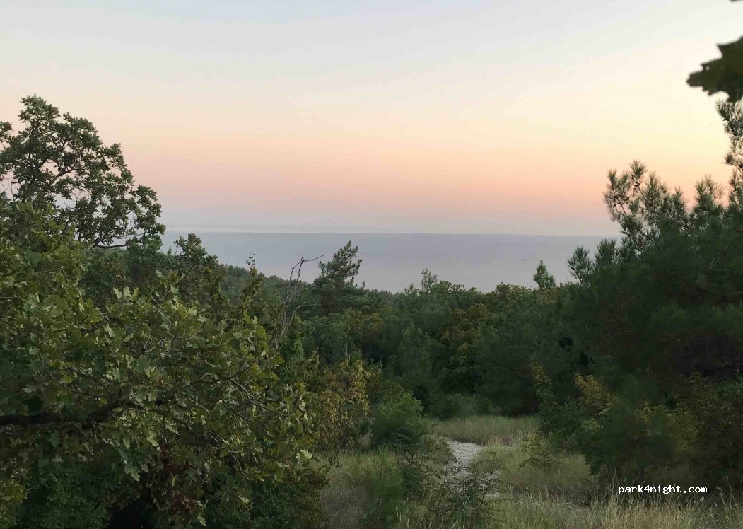 (353475) Krasnodar Krai - Unnamed Road — foto 3