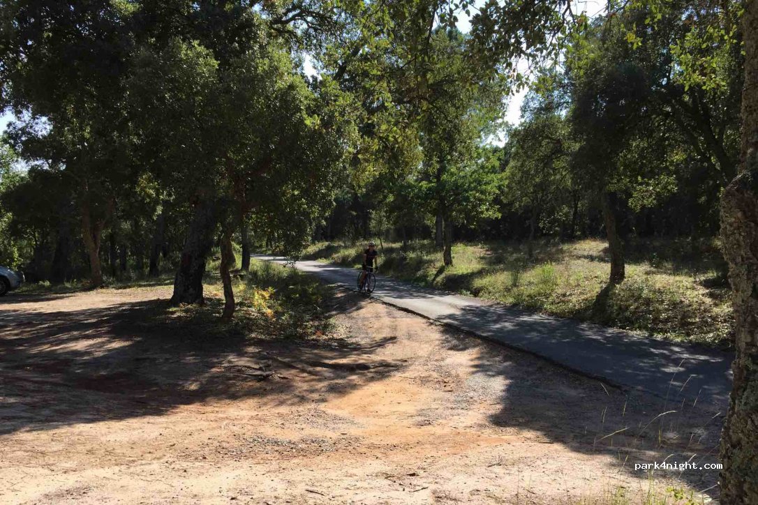 (83490) Roquebrune-sur-Argens - Les Baumettes — foto 2