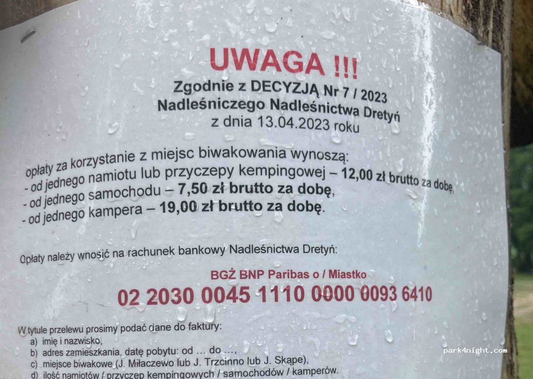 (77) Trzcinno - — foto 3