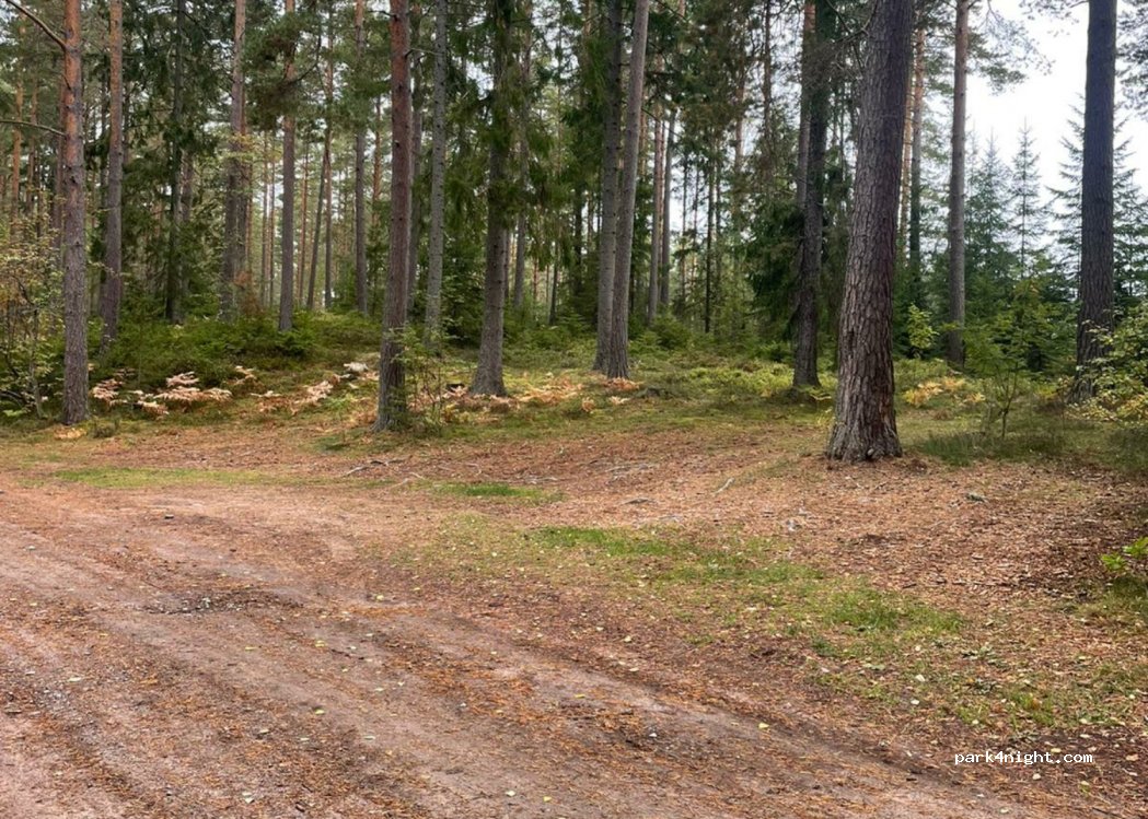 (546 92) Mölltorp - Unnamed Road — foto