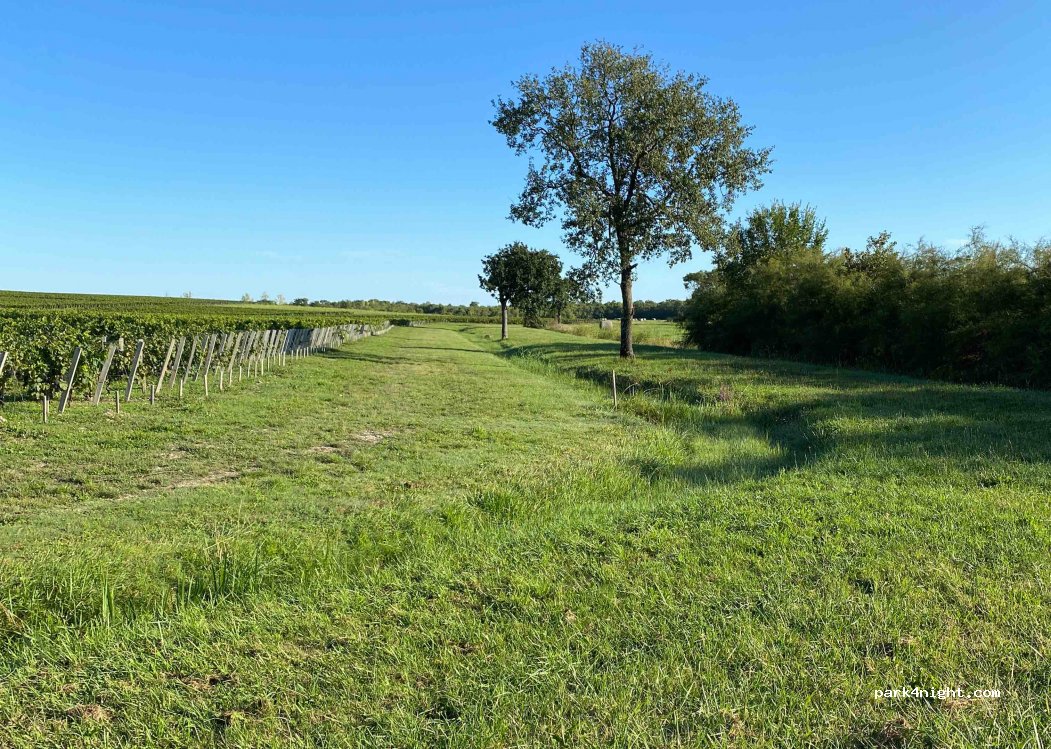 (33180) Saint-Seurin-de-Cadourne - 4 Route de Mapon — foto 2