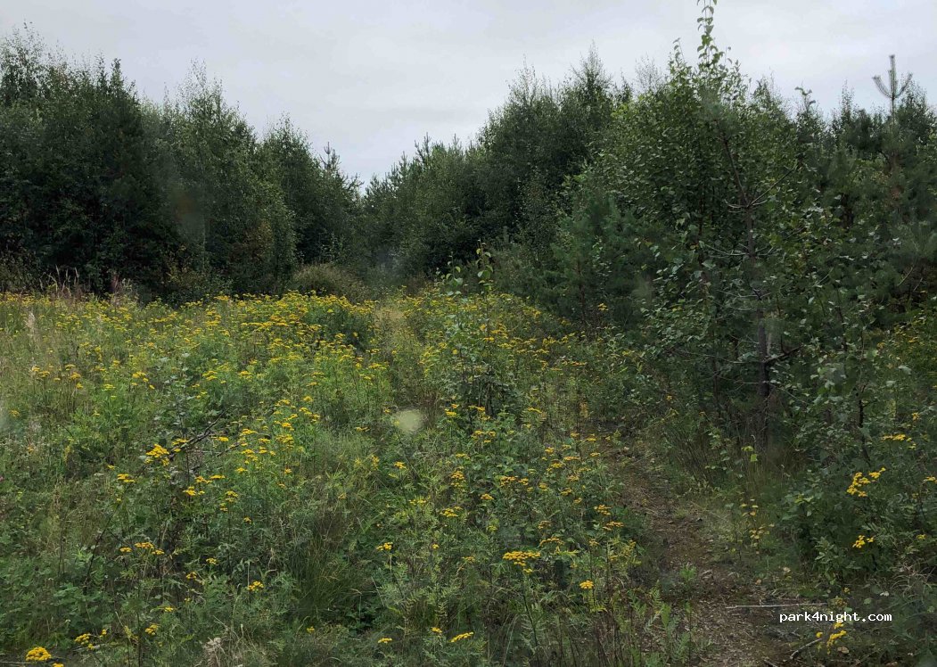 (95900) Kolari - 65-67 Muoniontie — foto 3