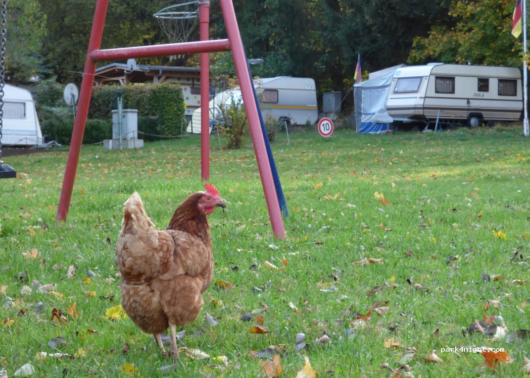 Campingplatz Ulstertal — foto 2