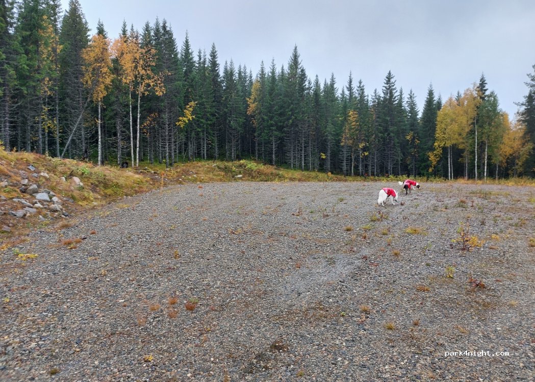 (921 93) Lycksele - Unnamed Road — foto