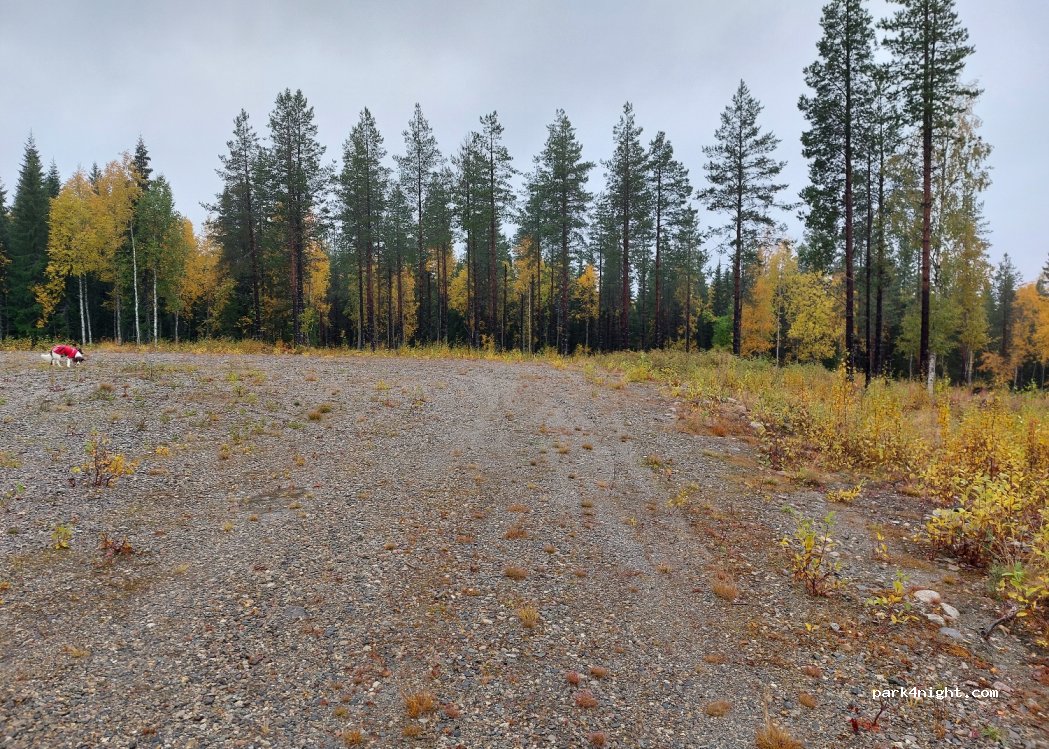 (921 93) Lycksele - Unnamed Road — foto 2