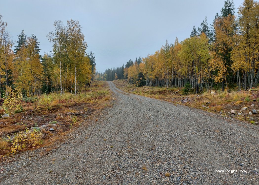 (921 93) Lycksele - Unnamed Road — foto 3