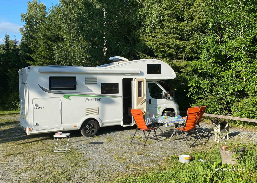 (666 91)  - 30 TORRSKOGS STOM — foto 3