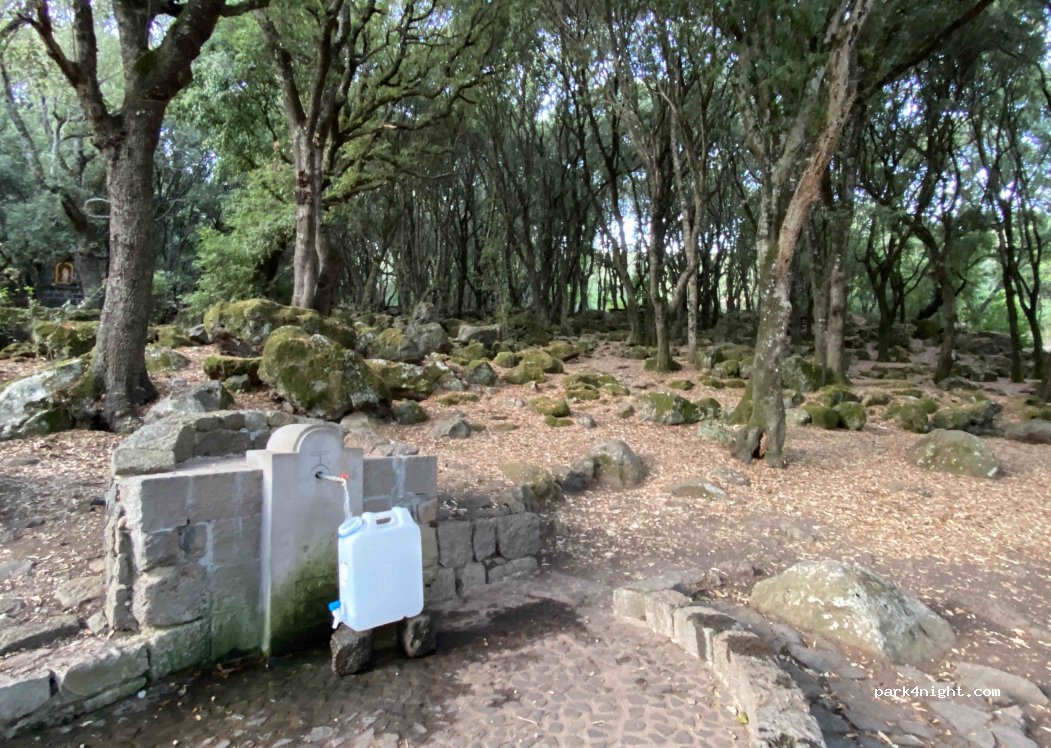 (09090) Villa Verde - — foto 2