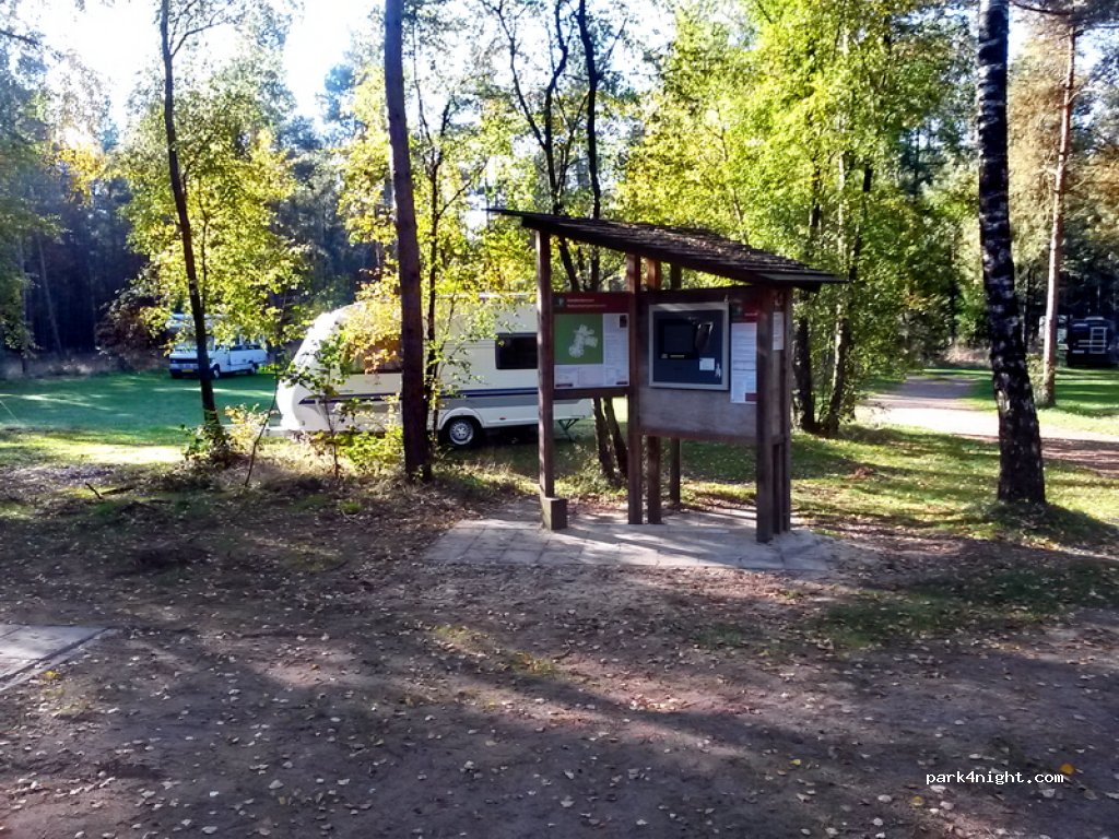 Natuurkampeerterrein De Zanderdennen — foto