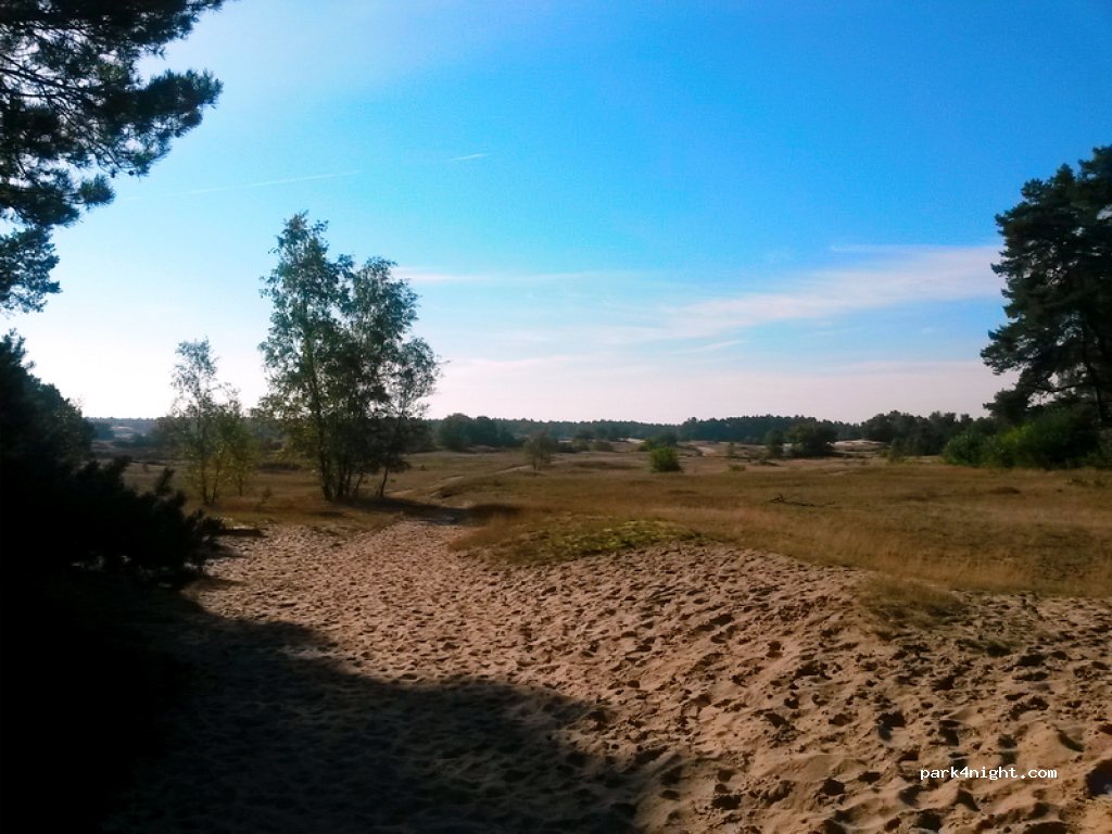 Natuurkampeerterrein De Zanderdennen — foto 2