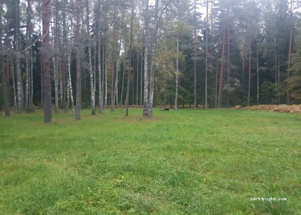 (41209) Konsu - Unnamed Road — foto 2