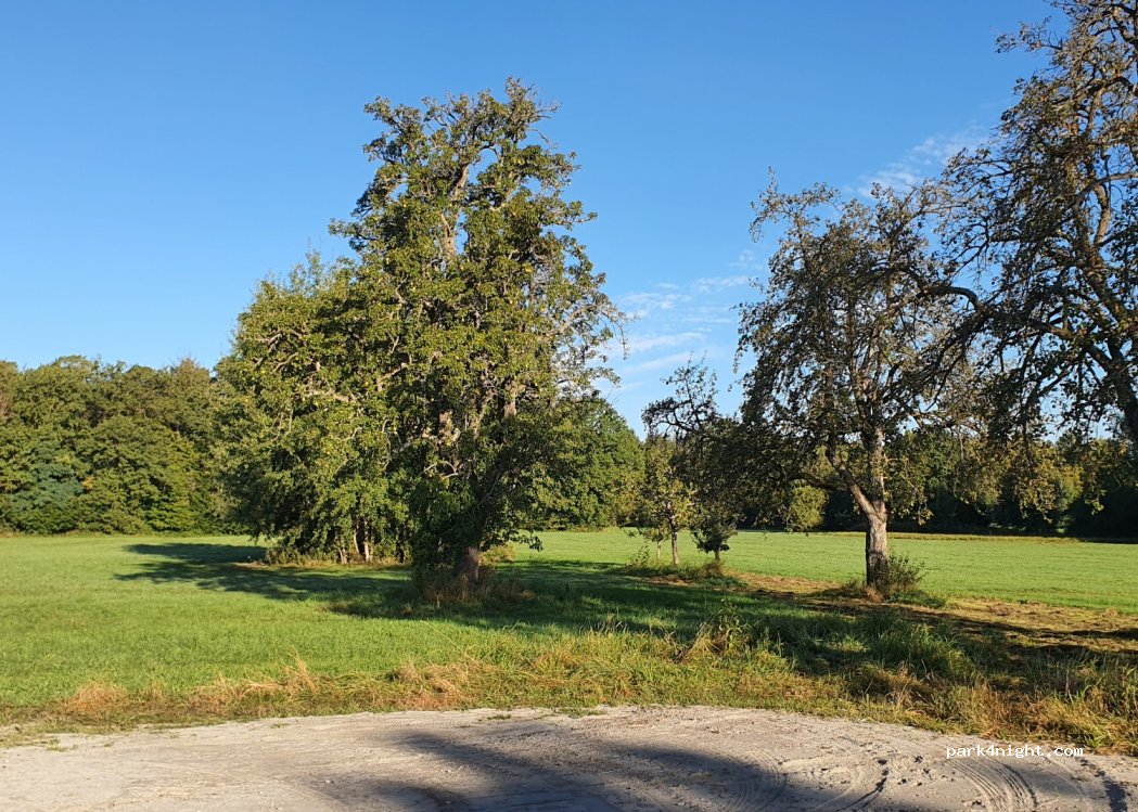 Hamberg — foto 3