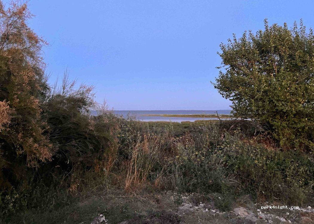 (17550) Dolus-d'Oléron - Unnamed Road — foto 3