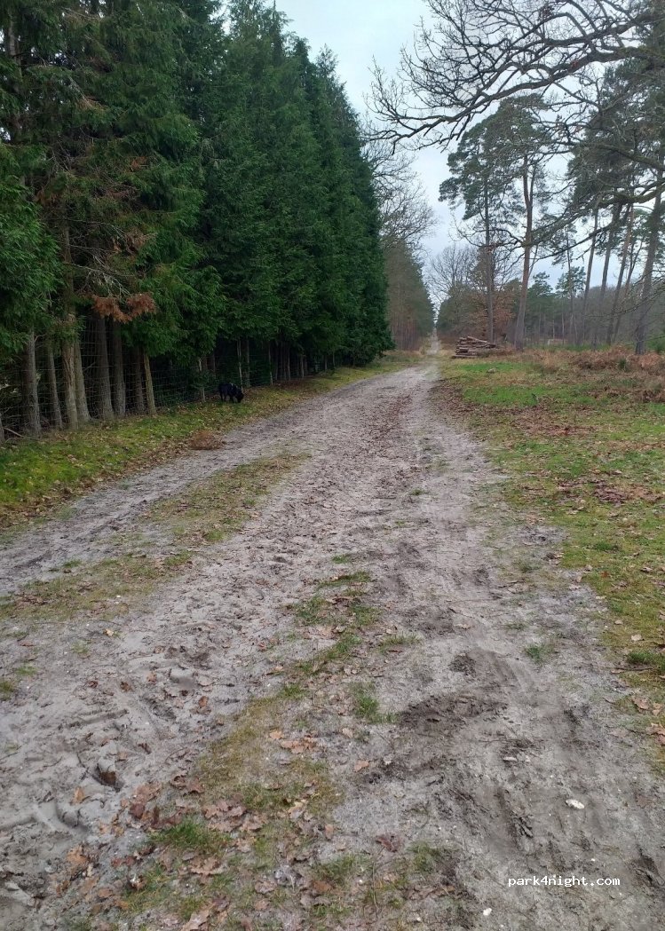 (60950) Ermenonville - Route d'Ermenonville — foto 2