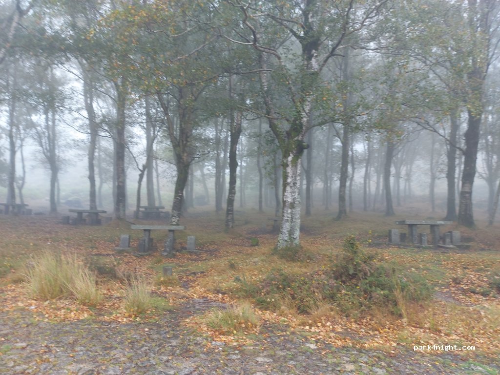 (4540-013) Arouca - Zona de Merendas, Estrada da Serra da Freita — foto