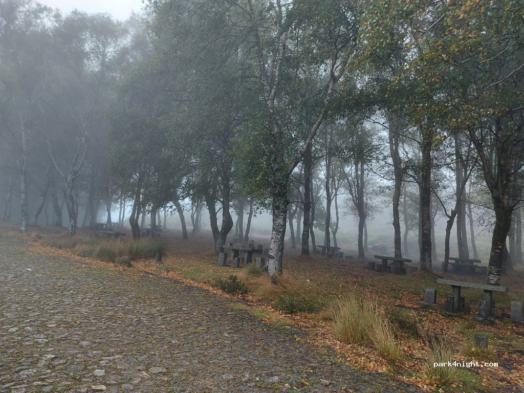 (4540-013) Arouca - Zona de Merendas, Estrada da Serra da Freita — foto 2