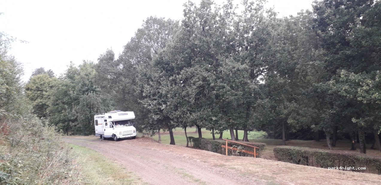 (49560) Passavant-sur-Layon - — foto