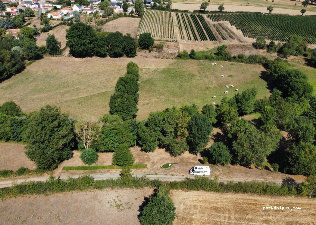 (49560) Passavant-sur-Layon - — foto 3