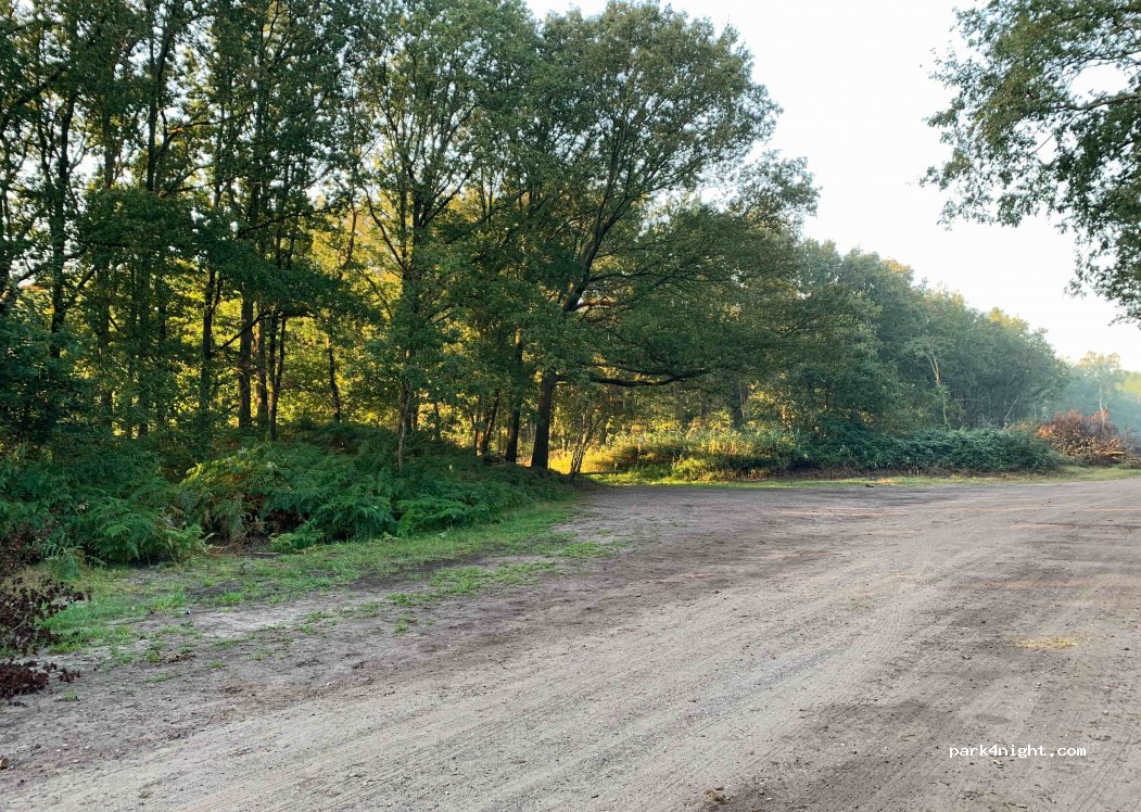 (8351) Wapserveen - Westerzandpad — foto 2