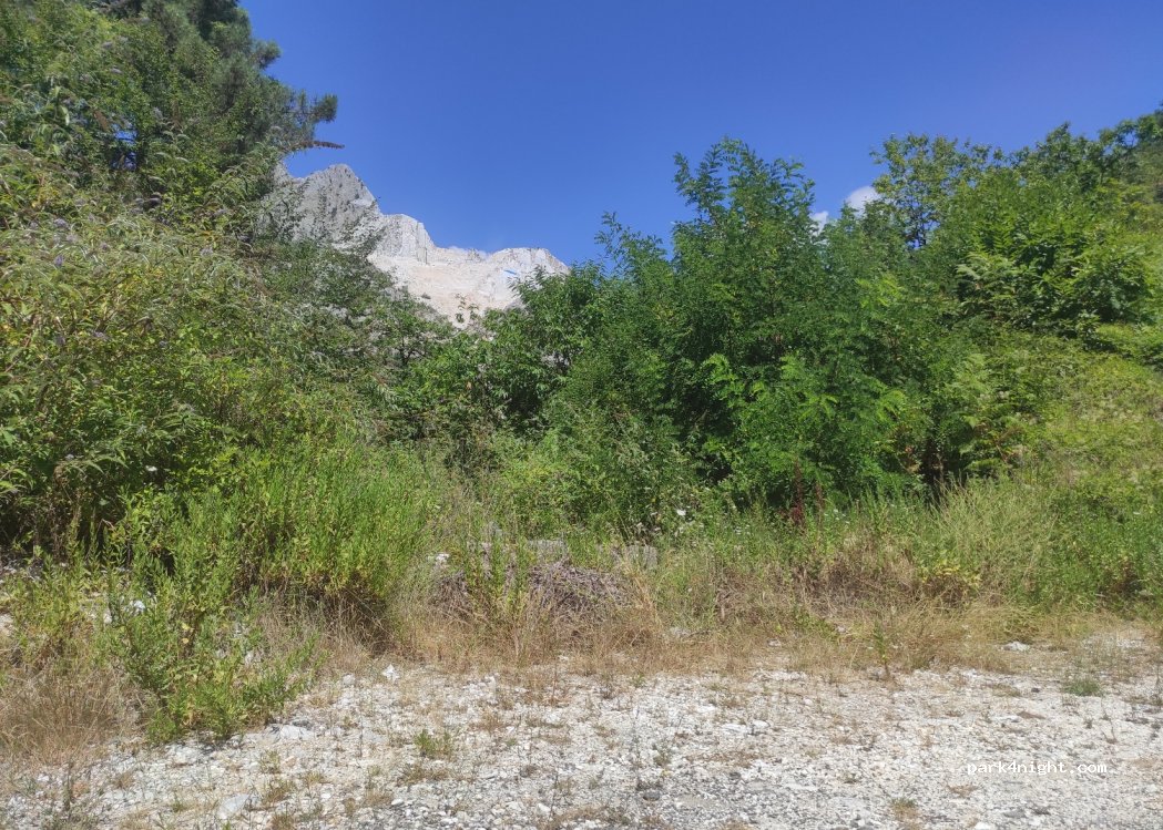 (54033) Carrara - — foto 3