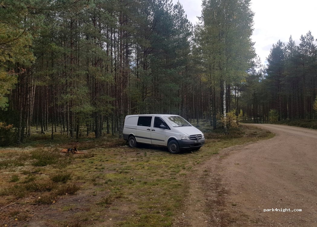 (68007) Kalliküla - Unnamed Road — foto