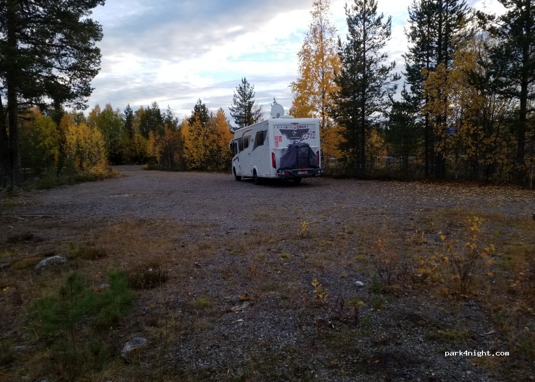 (930 82) Abborrtrask - 95 — foto