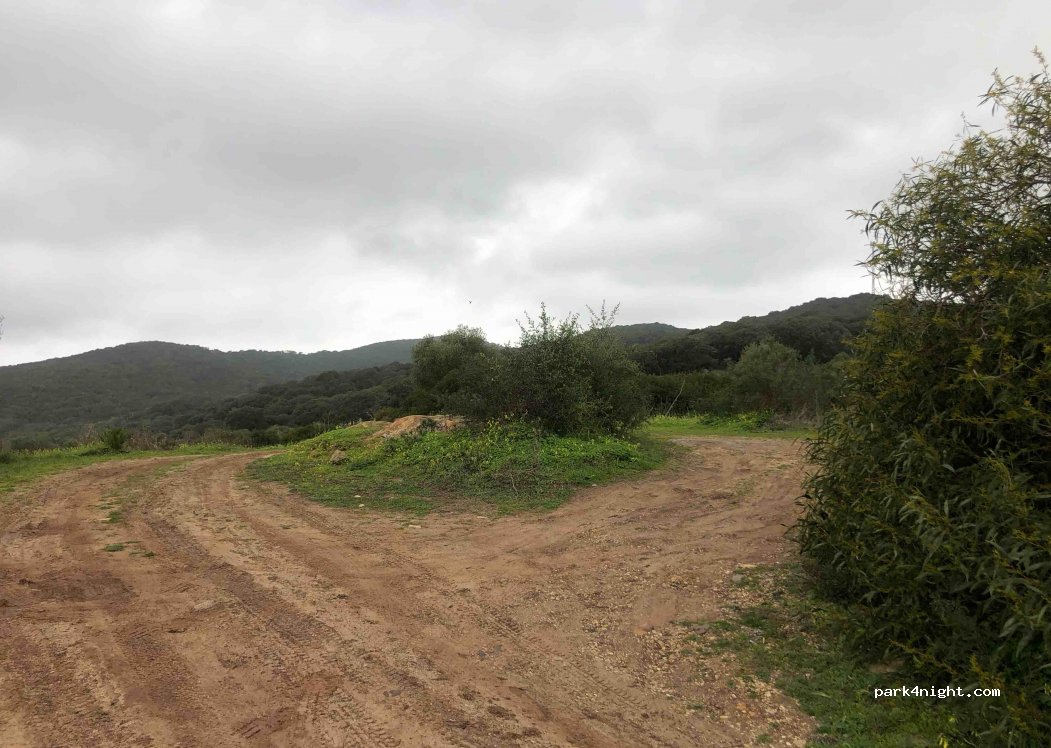 (11370) Los Barrios - A-381 — foto