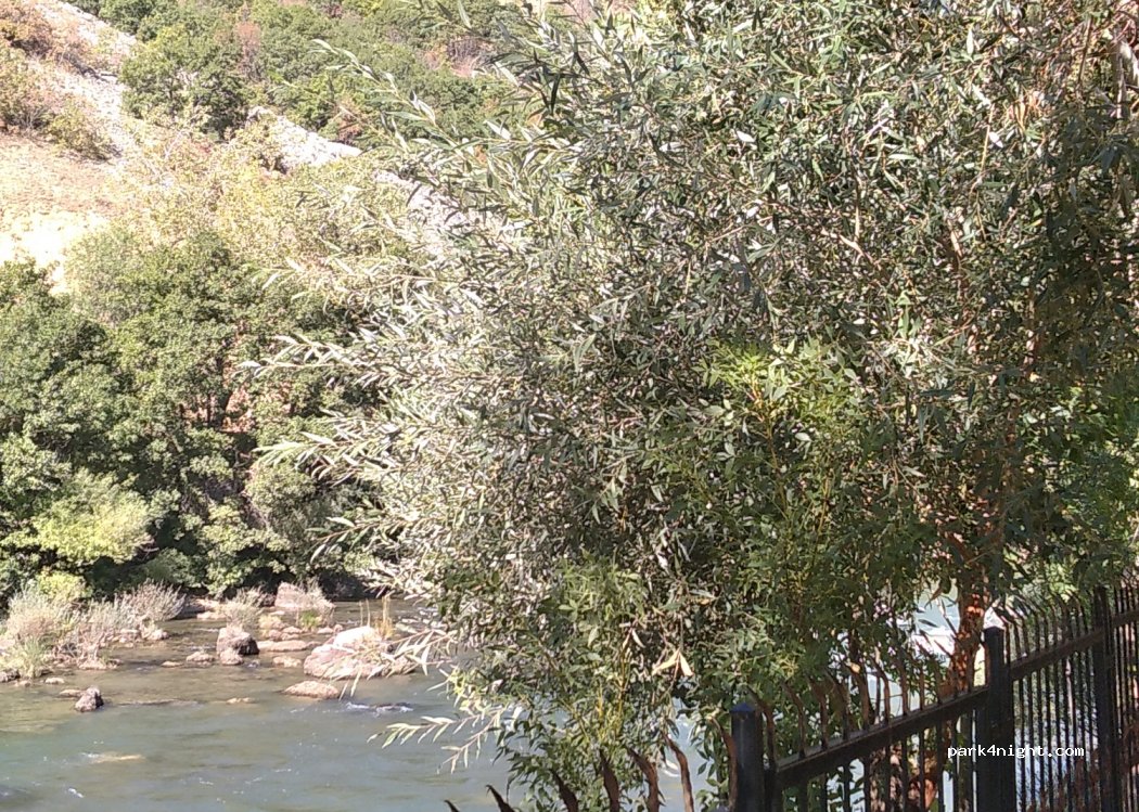 MUNZUR TRAVEL & RAFTİNG & ZİPLİNE & KAMP ALANI & RESTAURANT — foto 4