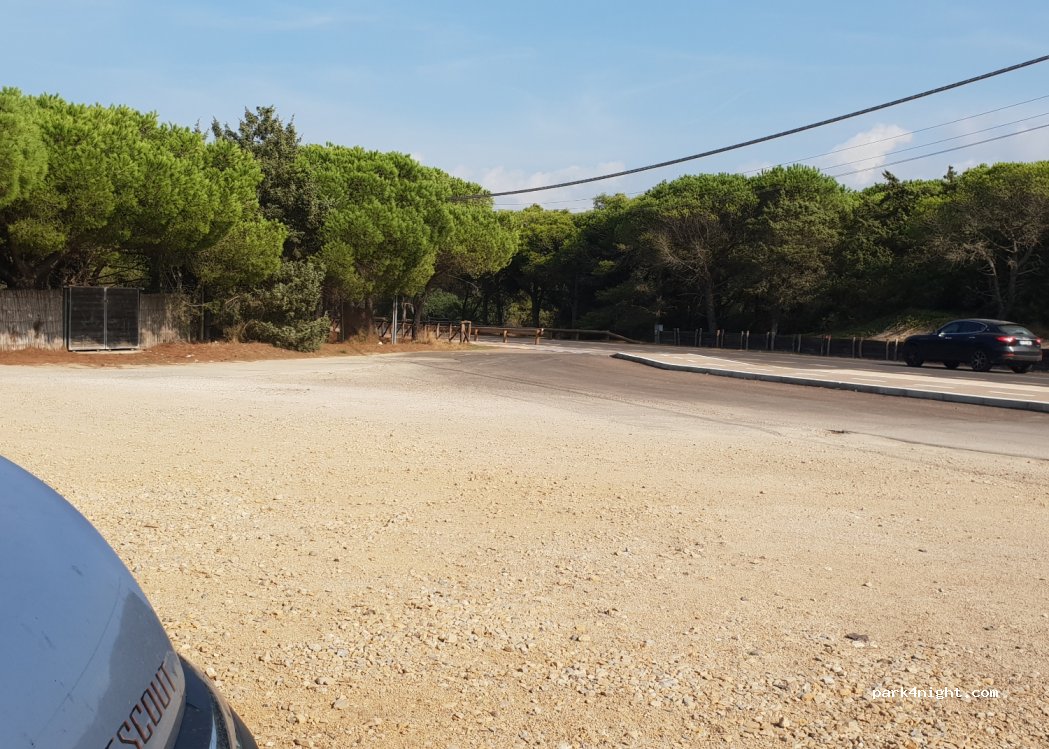 (07037) Sardinia - SP81 — foto 2