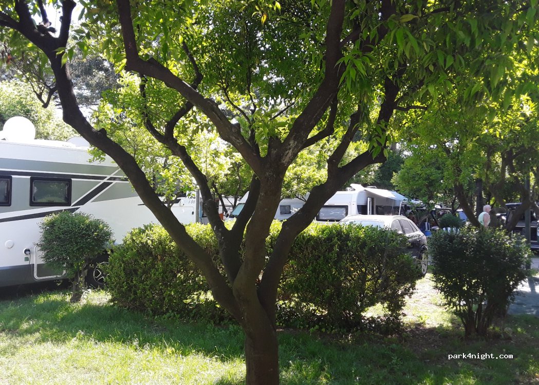 Camping Zeus — foto 3