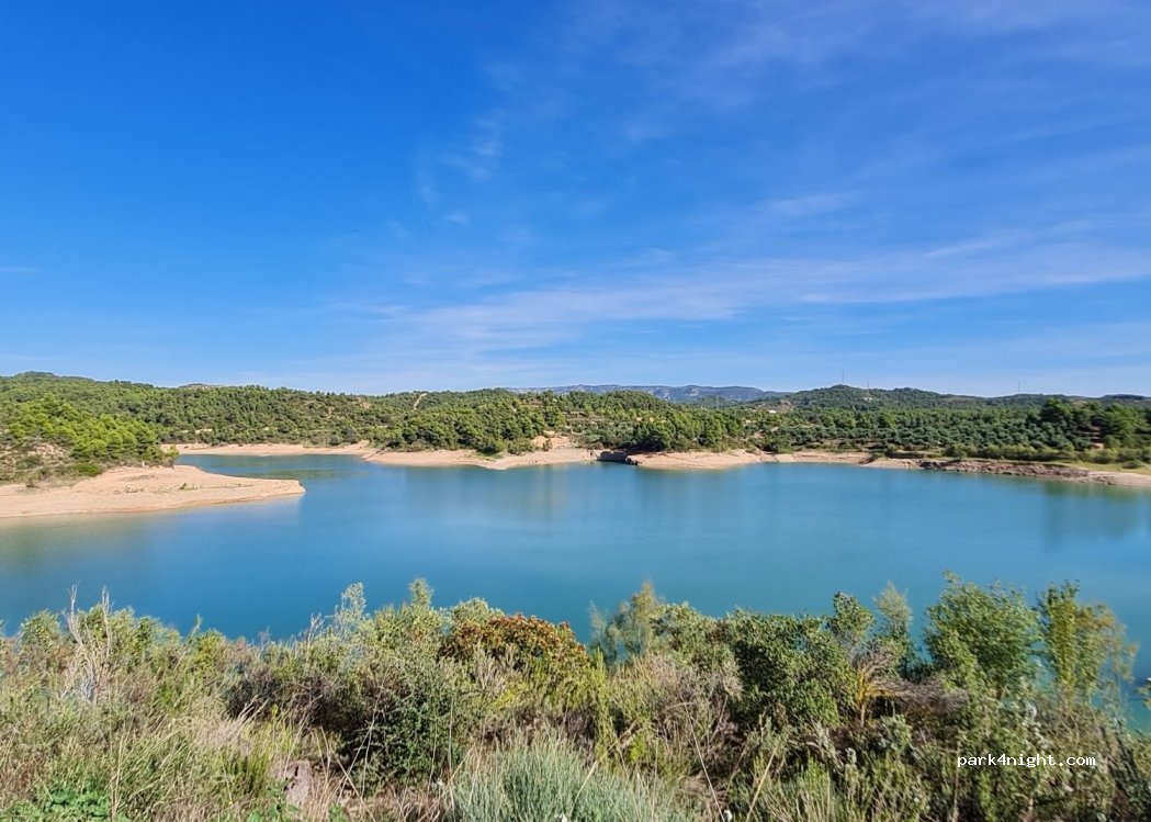 (43370) La Palma d'Ebre - T-703 — foto
