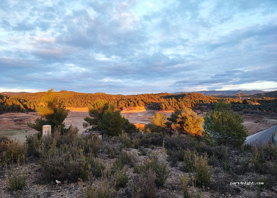 (43370) La Palma d'Ebre - T-703 — foto 2