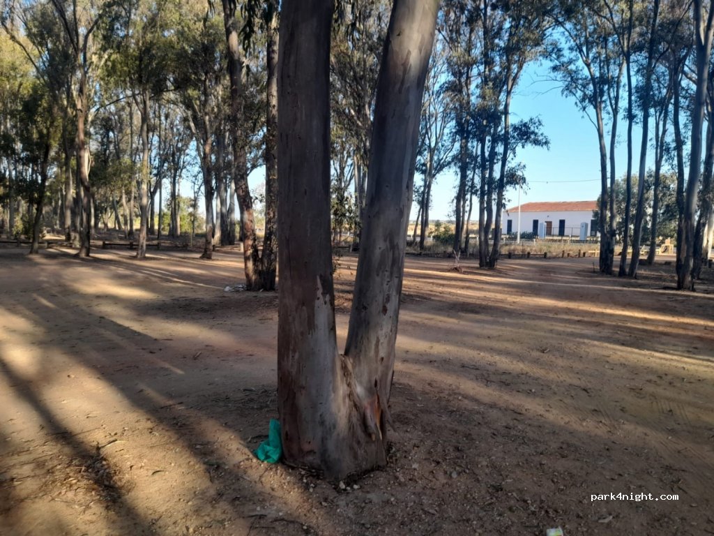 (21410) Isla Cristina - A-5054 — foto