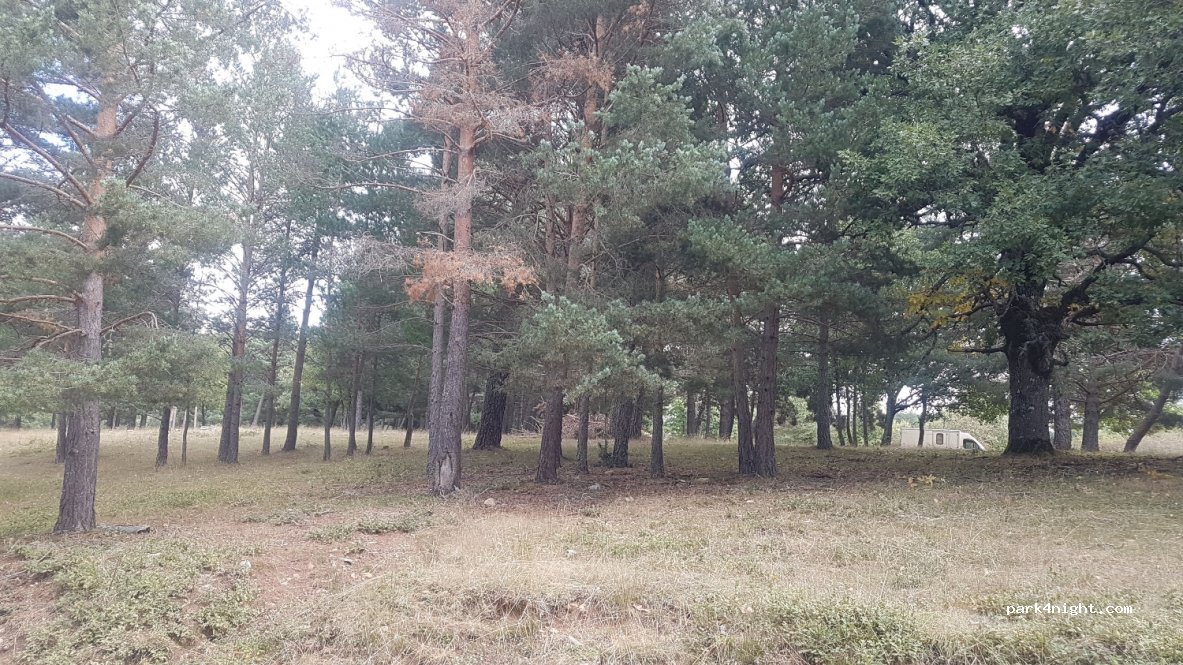 (09614) Valle de Valdelaguna - BU-V-8211 — foto 2