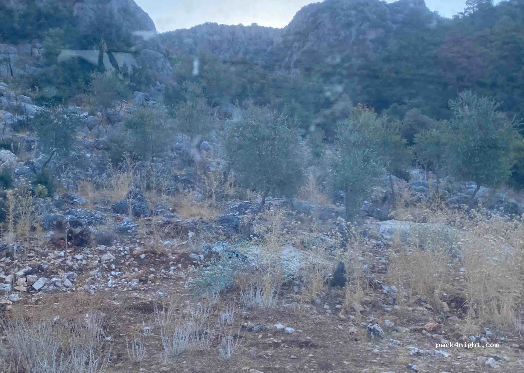 (07960) Antalya - Unnamed Road — foto