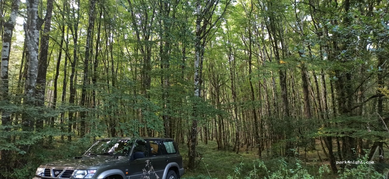 (37290) Bossay-sur-Claise - La Chillionnerie — foto 3