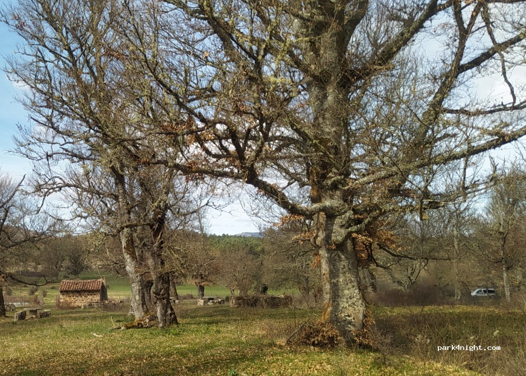 (09615) Monterrubio de la Demanda - Unnamed Road — foto 4