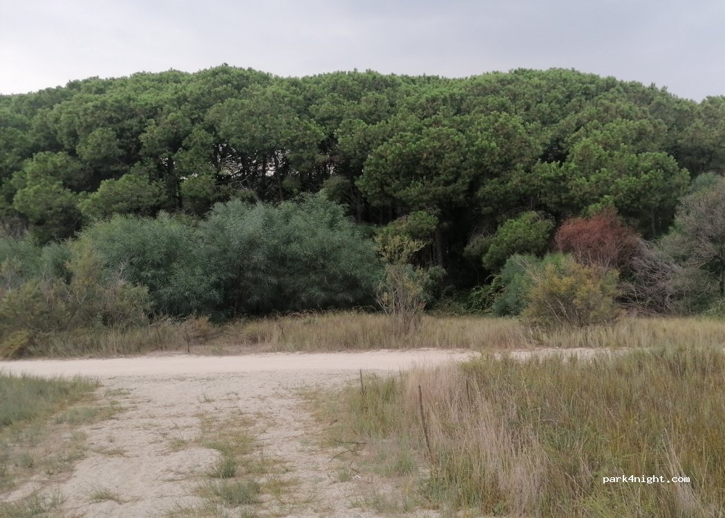 (87064) Corigliano Calabro - — foto 2