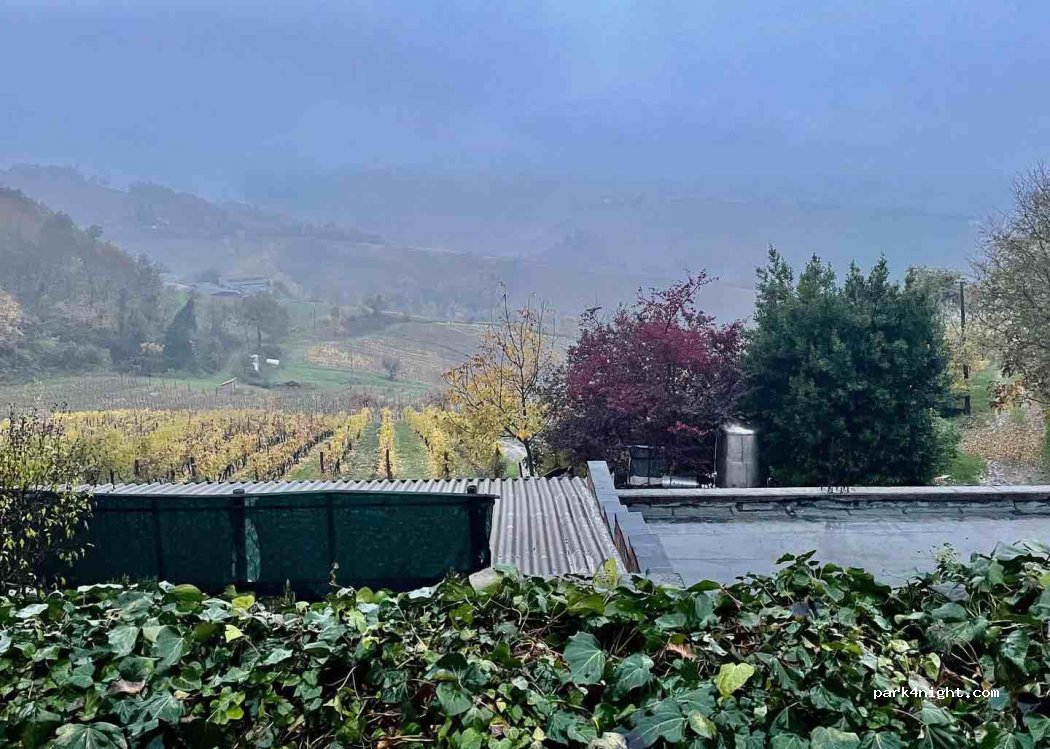 Into the Wineyard parking spot — foto 3
