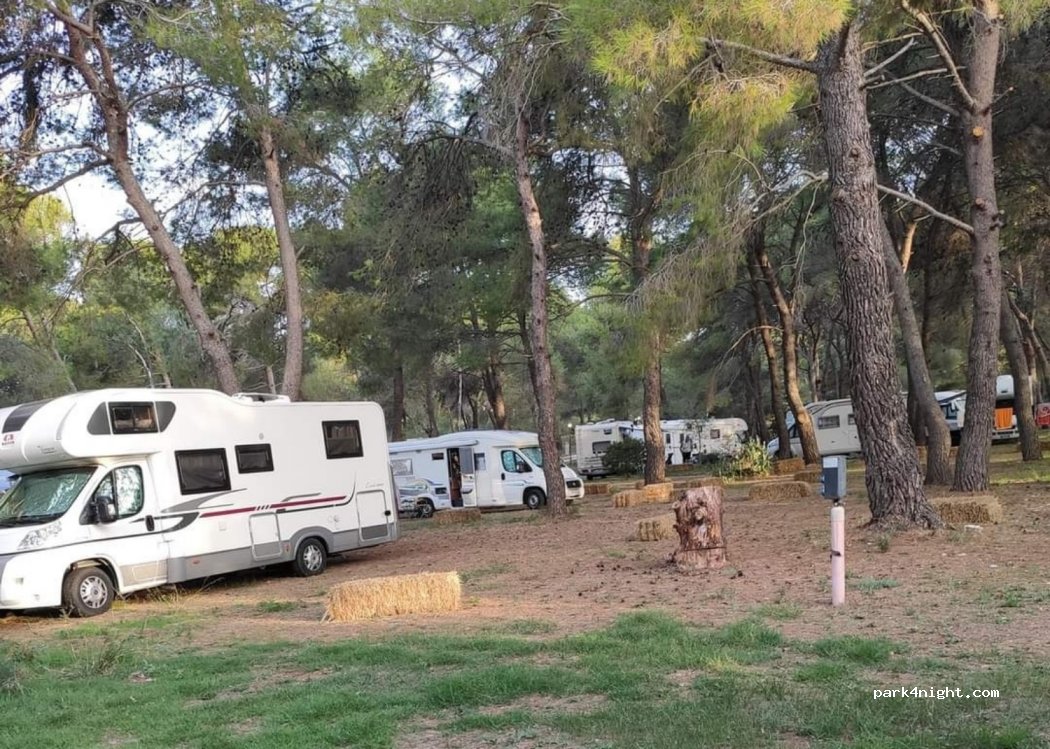 Camping Villaggio Tiziano — foto