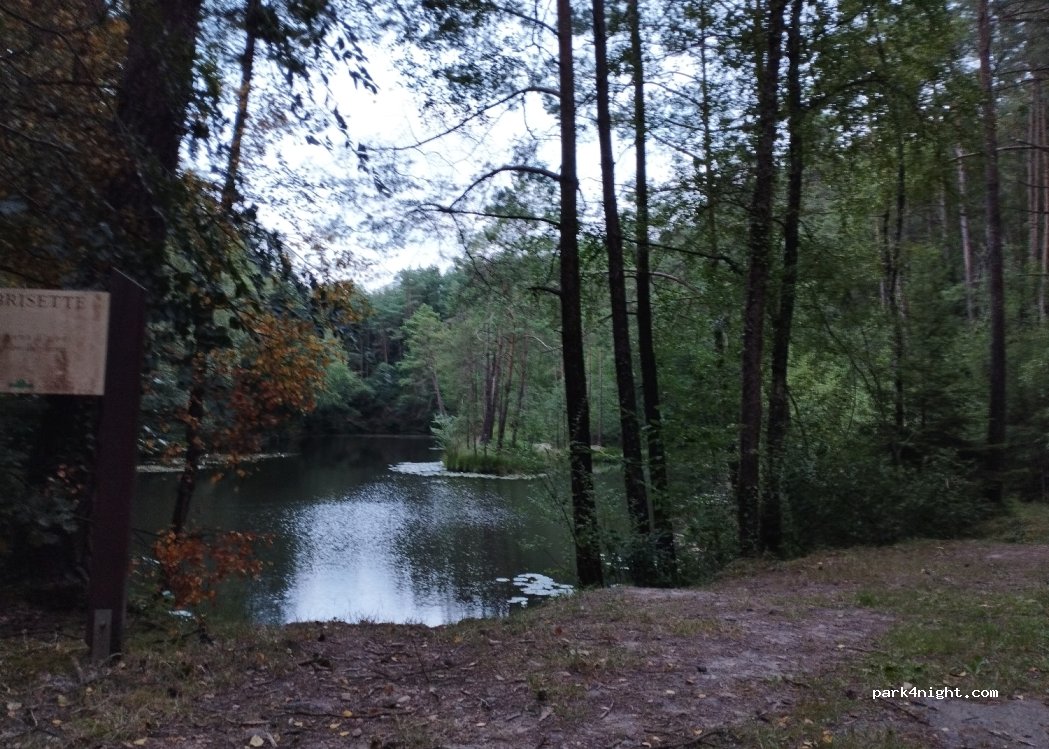 (61600) Bagnoles de l'Orne Normandie - Unnamed Road — foto 4