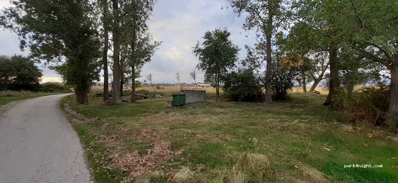 (19260) Alcolea del Pinar - — foto