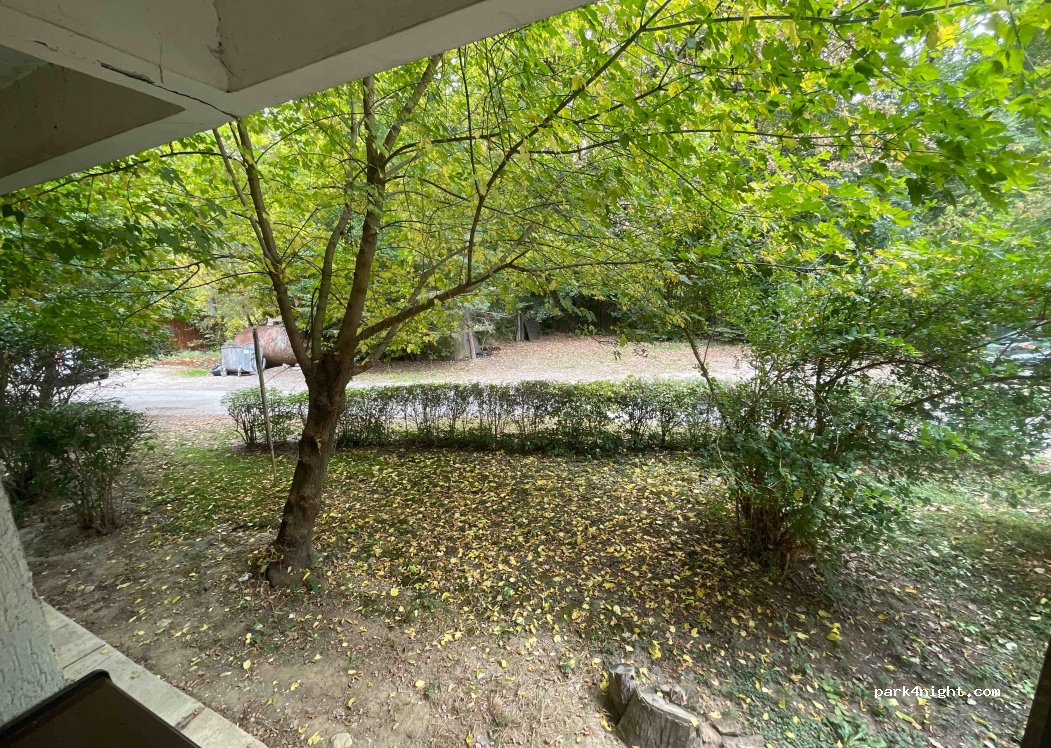 (117045) Brăileni - — foto