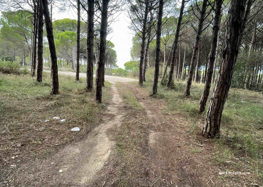 (17256) Els Masos de Pals - — foto 2