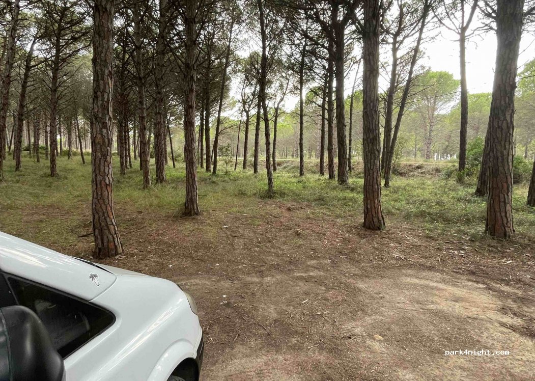 (17256) Els Masos de Pals - — foto 3