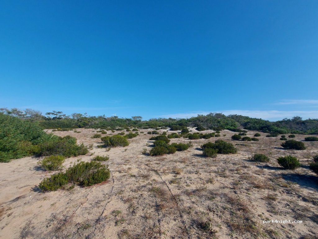 (3060) Tocha - Unnamed Road — foto